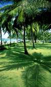 Kata Thani Beach Resort 